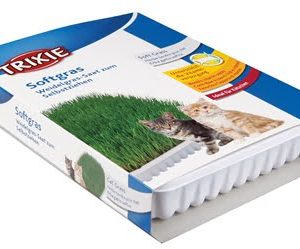 Trixie softgras bak- kattengraszaad in bak