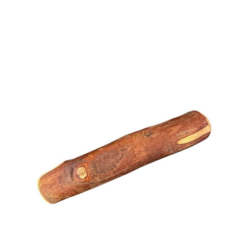 Olijfboom Stok – L