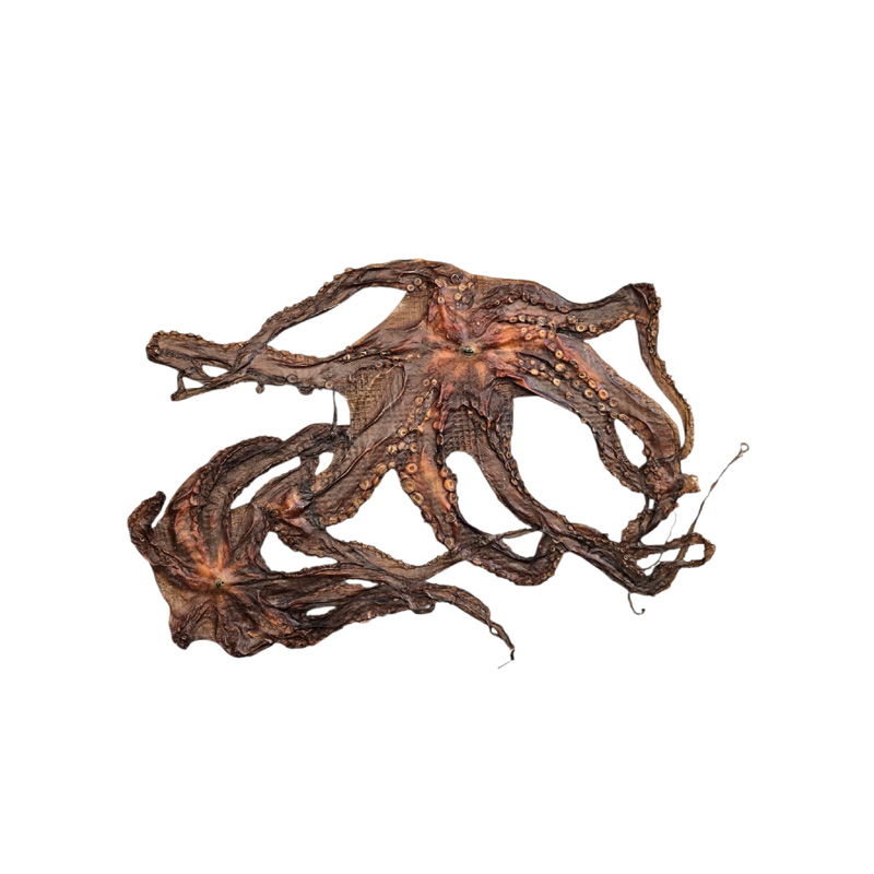 Inktvis ca 120gr – Per stuk