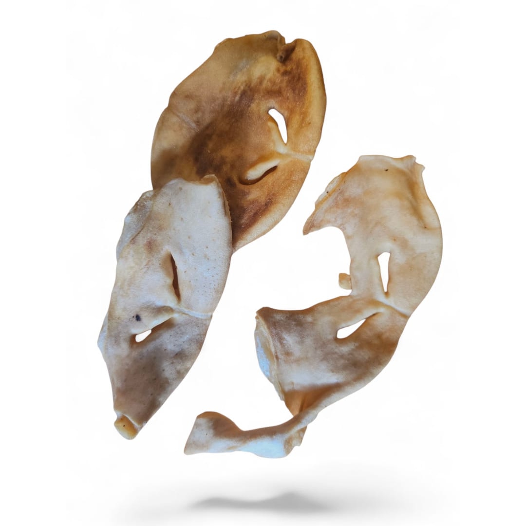 Geinige Geitenneuzen