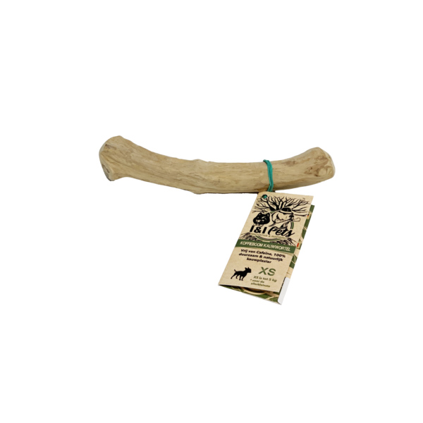 Koffieboom XS – Per stuk