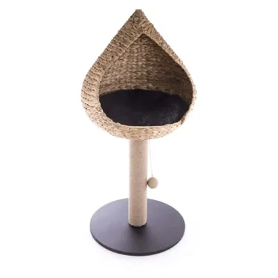 katten Krabpaal vietnam met mand druppel waterhyacint