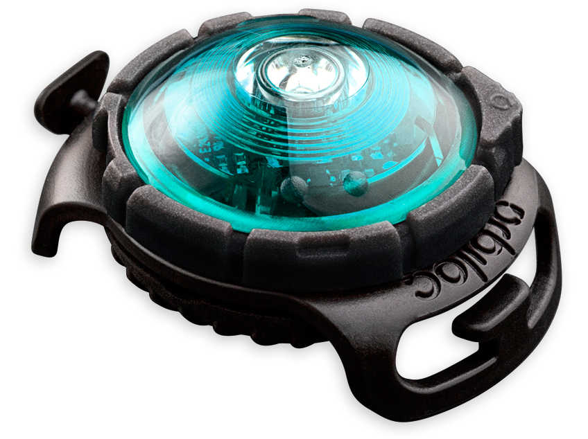 Orbiloc lampje turqoise