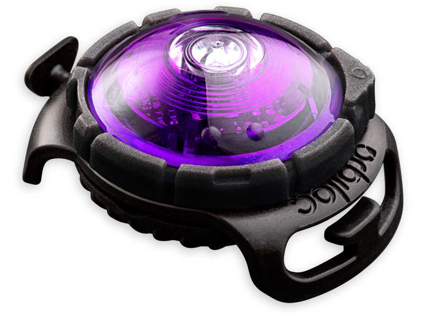 Orbiloc lampje paars