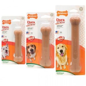 Nylabone dura chew bacon
