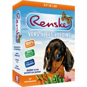 renske puppy