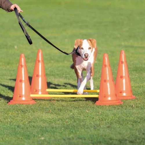 Trixie Pylonen-hordenset 2