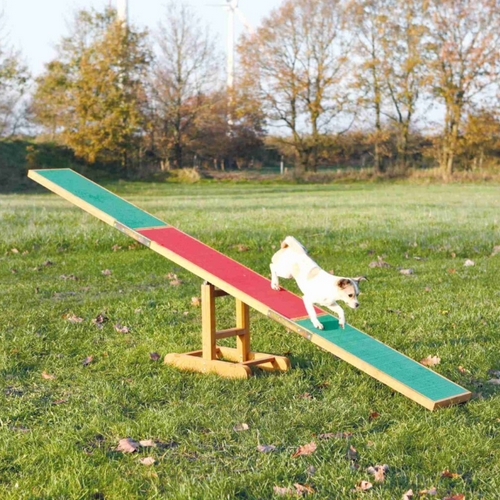 Trixie Fun Agility Wip